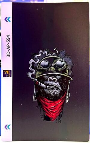 img_1955 3D-AP-594(521)