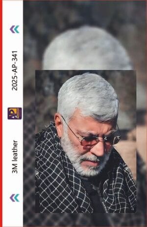 AP-341(M)