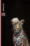 APHQ-023(تغليف جو)