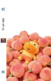 TP-AP-089(248)