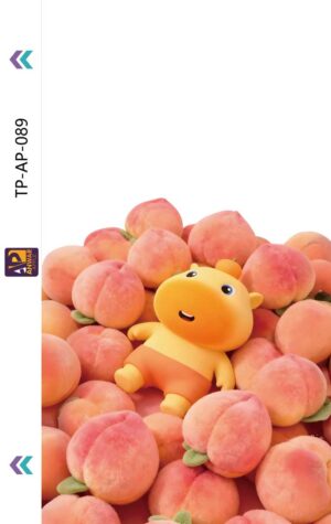 TP-AP-089(248)