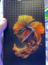 تغليف السمكة (506)